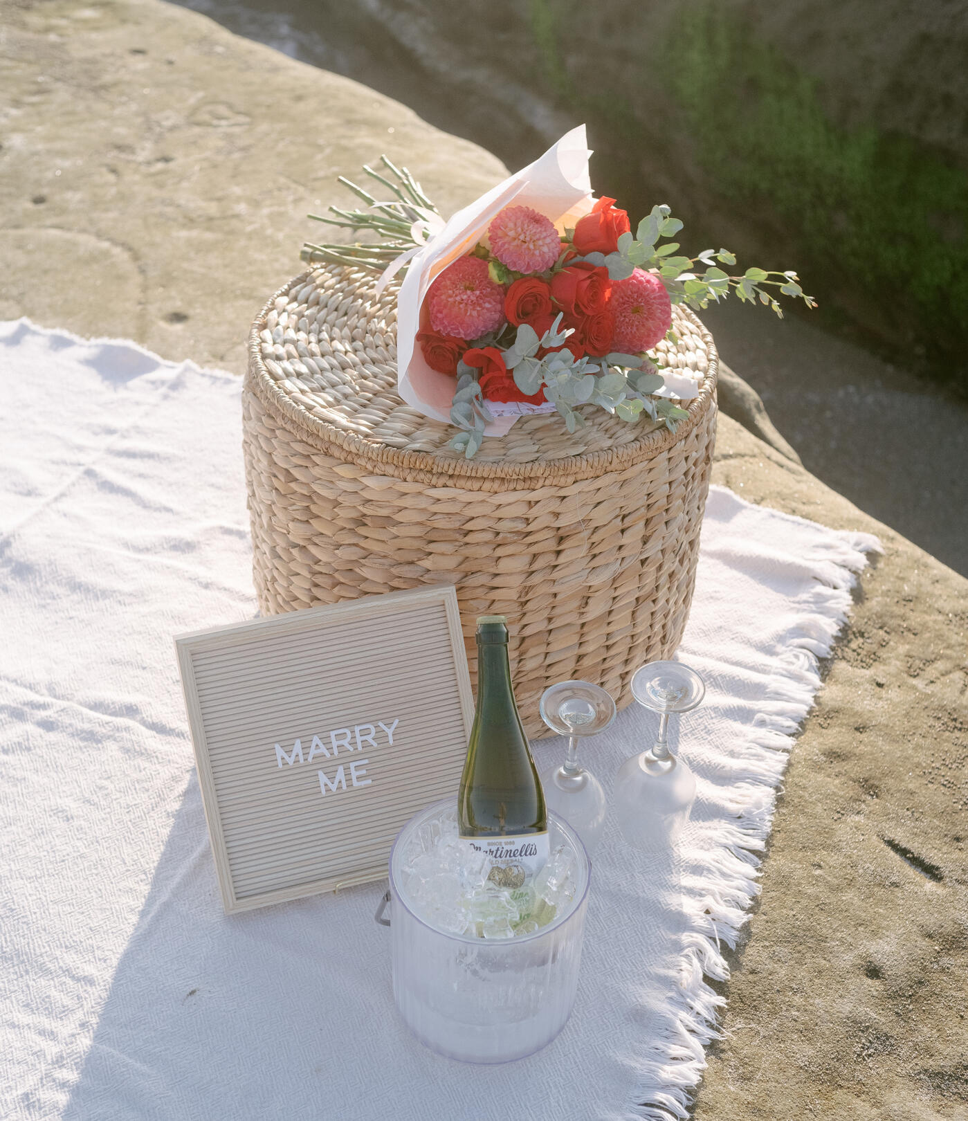 La Jolla Proposal Picnic