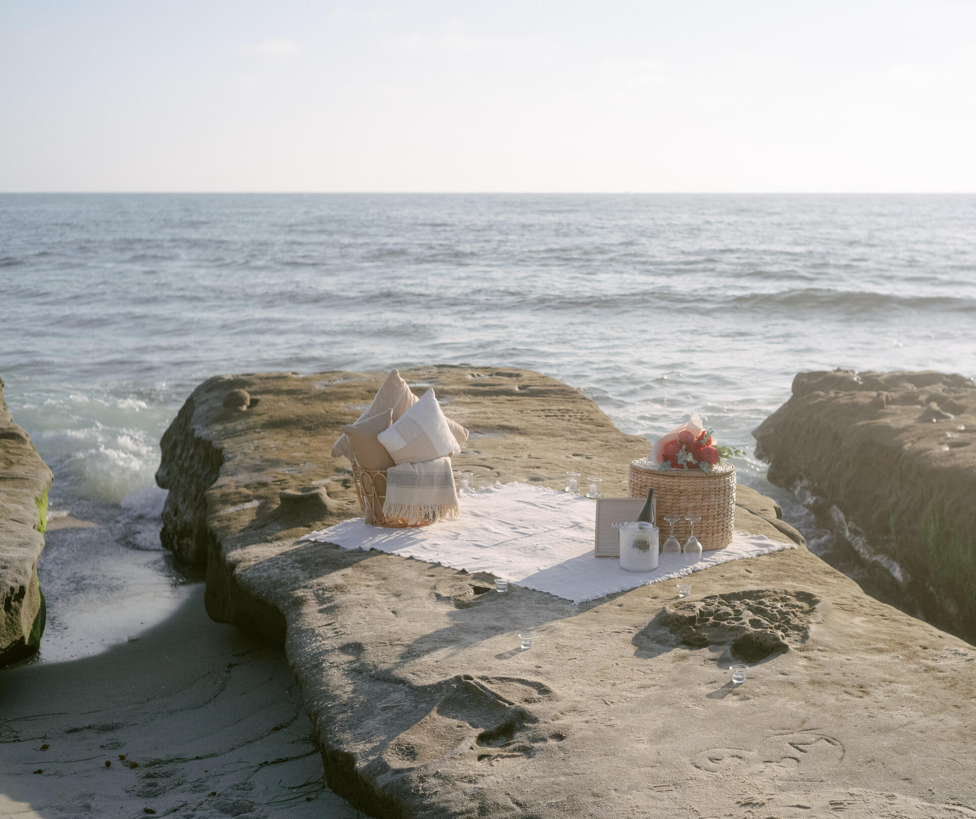 La Jolla Proposal Picnic